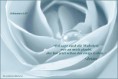 /album/a3-tag/a602043-527351274007066-1735451377-n-jpg/